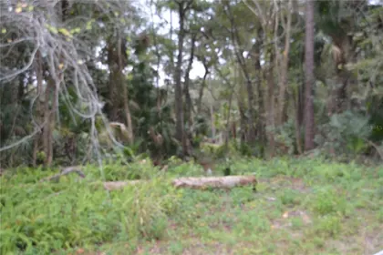 SANFORD FL Property