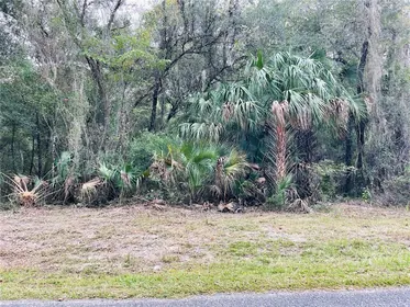 FORT MC COY FL Property