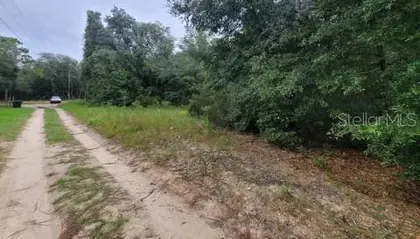 BRONSON FL Property