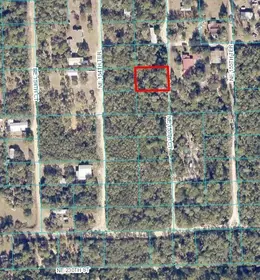 FORT MC COY FL Property