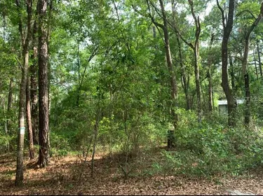 FORT MC COY FL Property