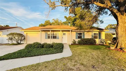 TAMPA FL Home