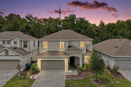 MOUNT DORA FL Home