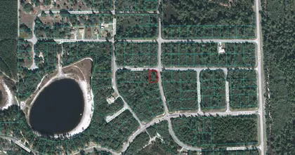 OCKLAWAHA FL Property