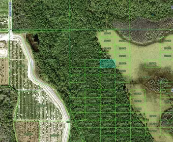 POLK CITY FL Property