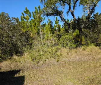 INDIAN LAKE ESTATES FL Property