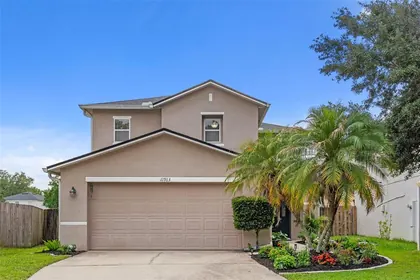 SEFFNER FL Home