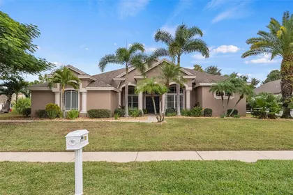 PALM HARBOR FL Home