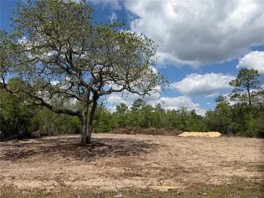 BRONSON FL Property