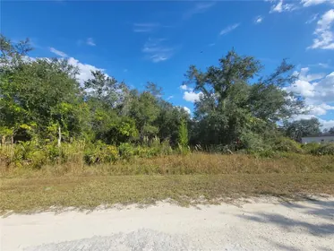 WEBSTER FL Property