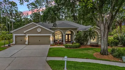 PALM HARBOR FL Home