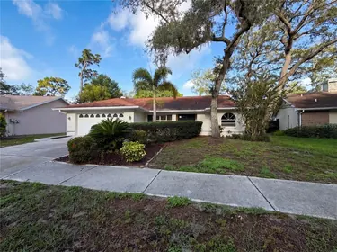 SAFETY HARBOR FL Home