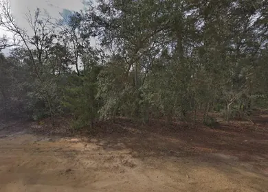 INTERLACHEN FL Property