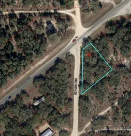 WILLISTON FL Property