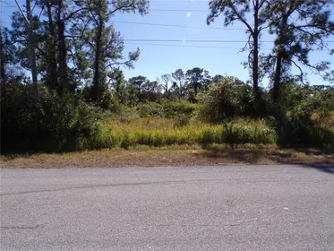 LEHIGH ACRES FL Property