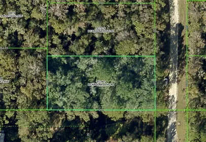 WEEKI WACHEE FL Property