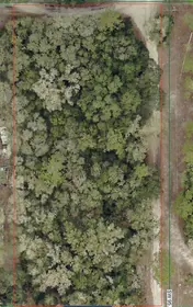 DUNNELLON FL Property