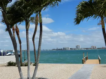 TIERRA VERDE FL Home