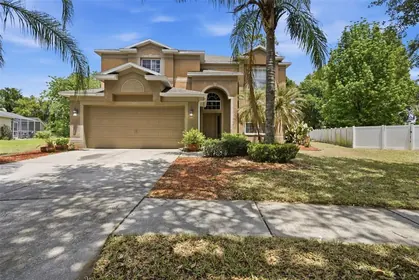 VALRICO FL Home