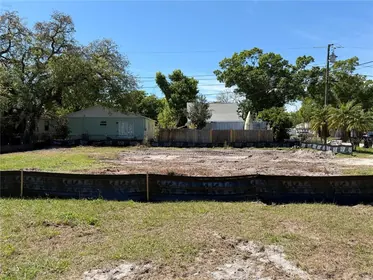 ST PETERSBURG FL Property