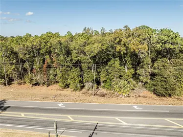 BELLEVIEW FL Property