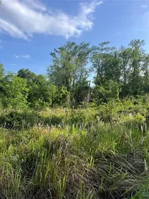 KISSIMMEE FL Property