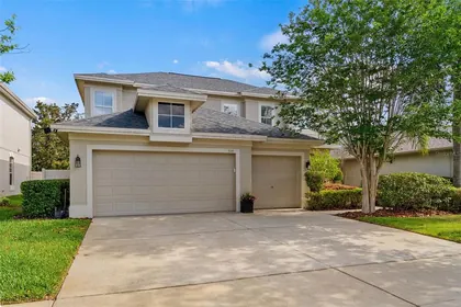 SAFETY HARBOR FL Home