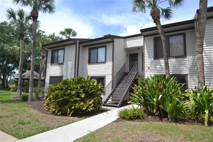 TARPON SPRINGS FL Home