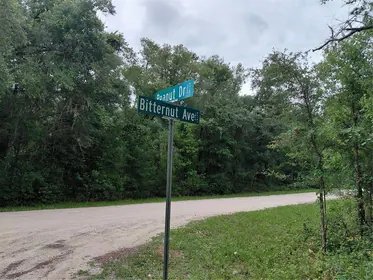 WEBSTER FL Property