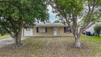 HOLIDAY FL Home