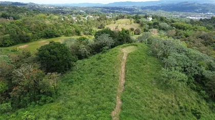 HUMACAO PR Property