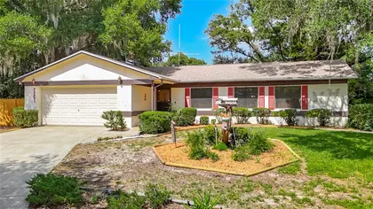 BRANDON FL Home