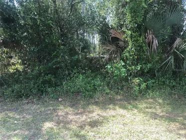 NORTH PORT FL Property