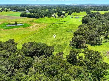 DADE CITY FL Property