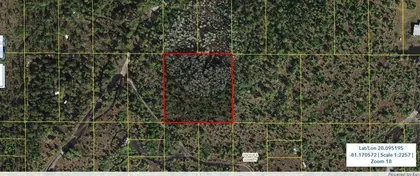 ST CLOUD FL Property