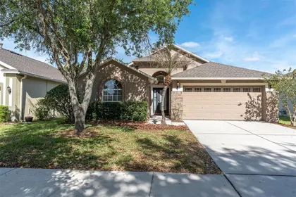 LITHIA FL Home