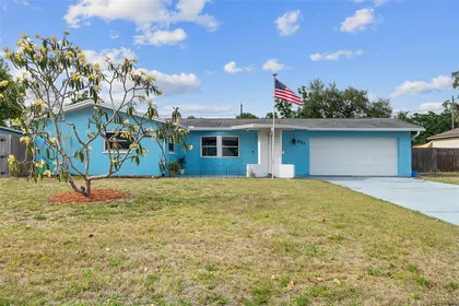 PINELLAS PARK FL Home