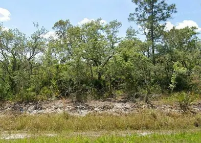 LAKE PLACID FL Property
