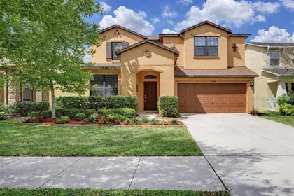 VALRICO FL Home