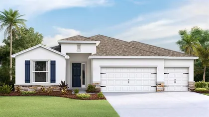 PLANT CITY FL Home