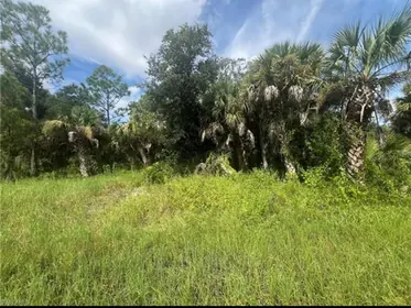 PORT CHARLOTTE FL Property