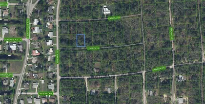 LAKE PLACID FL Property
