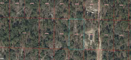 MORRISTON FL Property