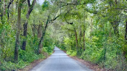 NEWBERRY FL Property