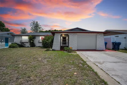 NEW PORT RICHEY FL Home