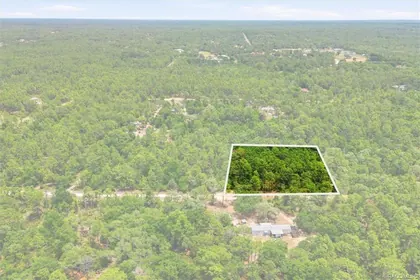 DUNNELLON FL Property