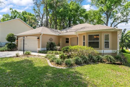 THE VILLAGES FL Home