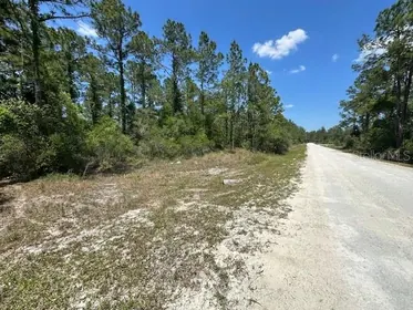 WEBSTER FL Property