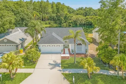 PALM HARBOR FL Home