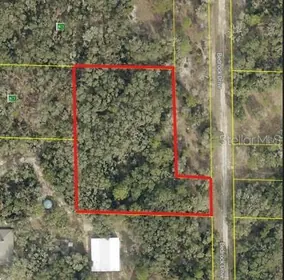 WEBSTER FL Property